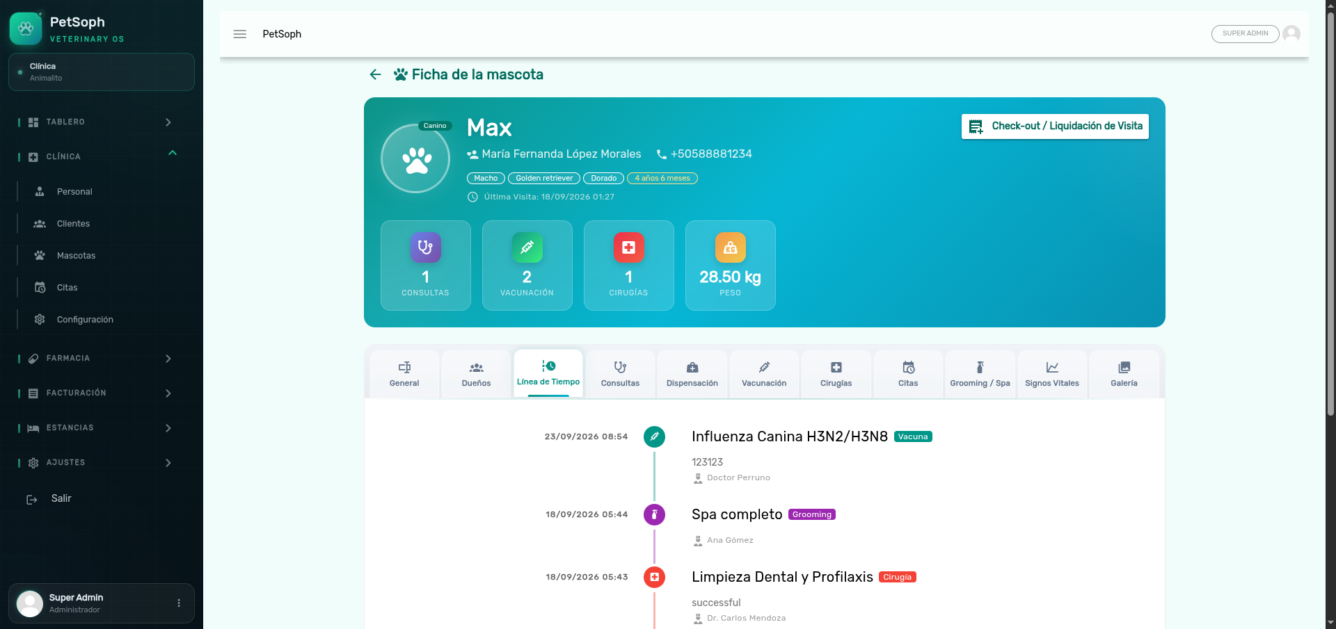 Línea de tiempo cronológica unificada